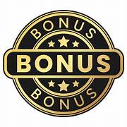 Bonus exclusivo de la formación